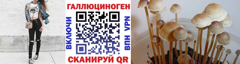 Купить  Городовиковск  Галлюциногенные грибы прущие грибы 